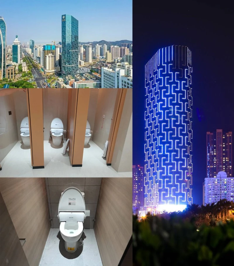 toliet seat building (1)